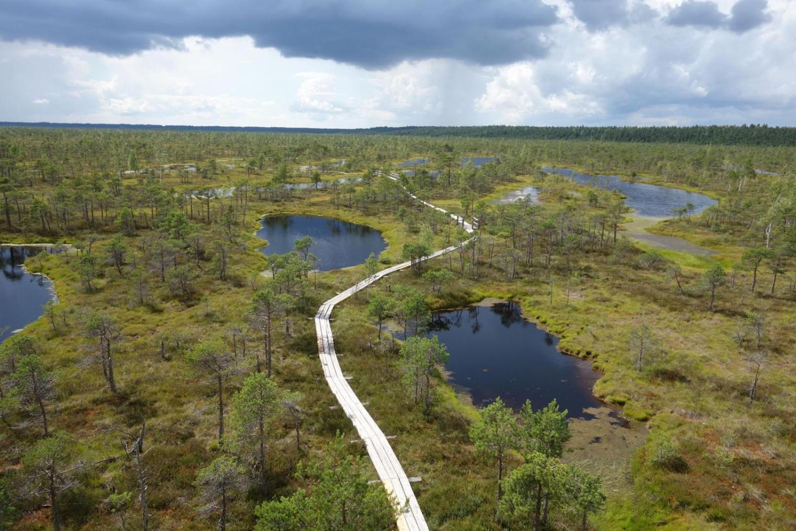 Kemeri In National Park - Free Parking Отель *