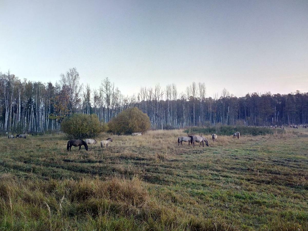 Kemeri In National Park - Free Parking * Юрмала