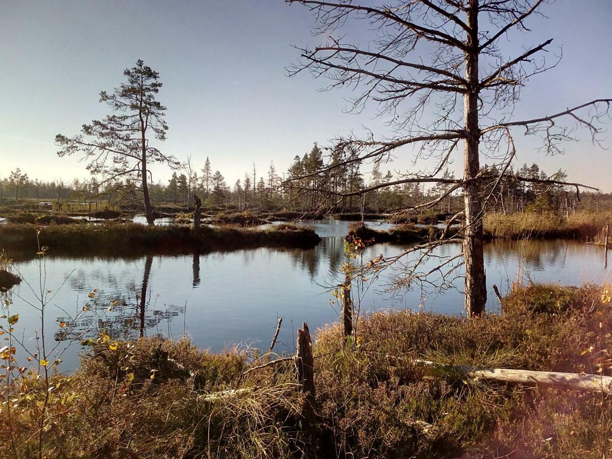 Kemeri In National Park - Free Parking * Юрмала